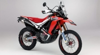 Novost: Honda CRF 250 Rally