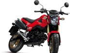 Model 2014: Honda MSX 125